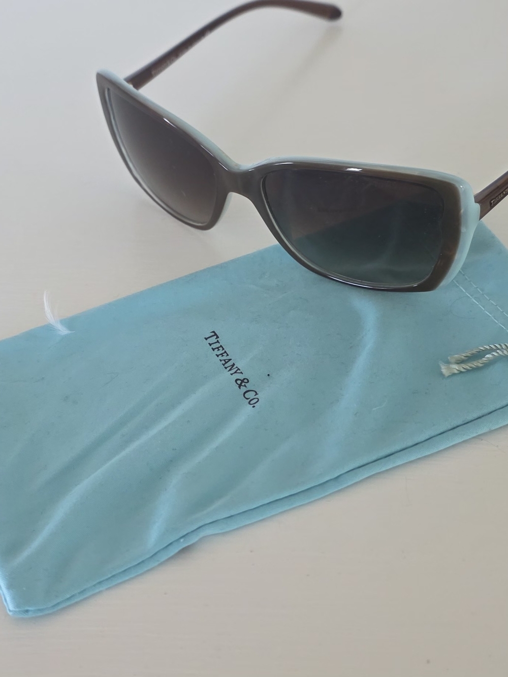 Tiffany & Co. Light Blue Frame with Brown Lenses Women's Sunglasses TF 4070